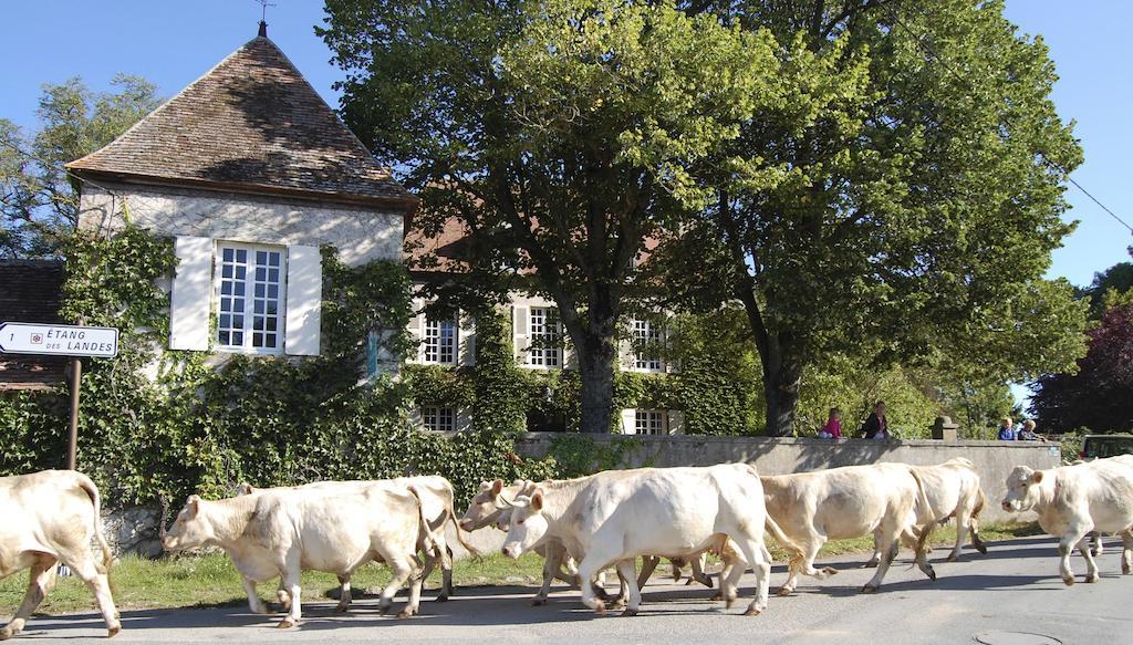 Le Mas D'En Haut Lussat Kültér fotó